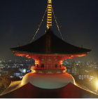 ライトアップと夜景